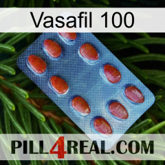 Vasafil 100 06